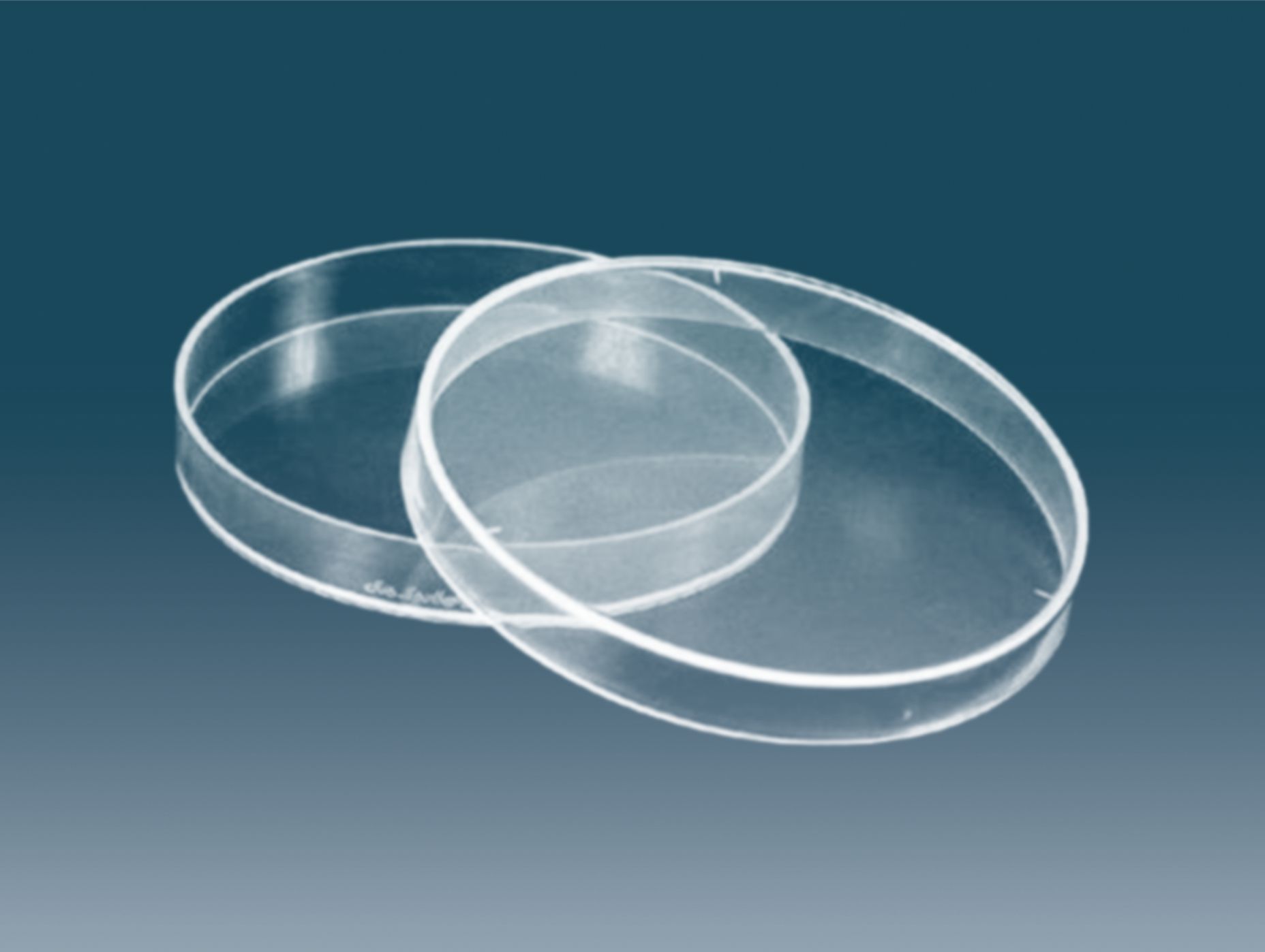 Petri Dish Disposable Gamma Sterile (Individual Pack)