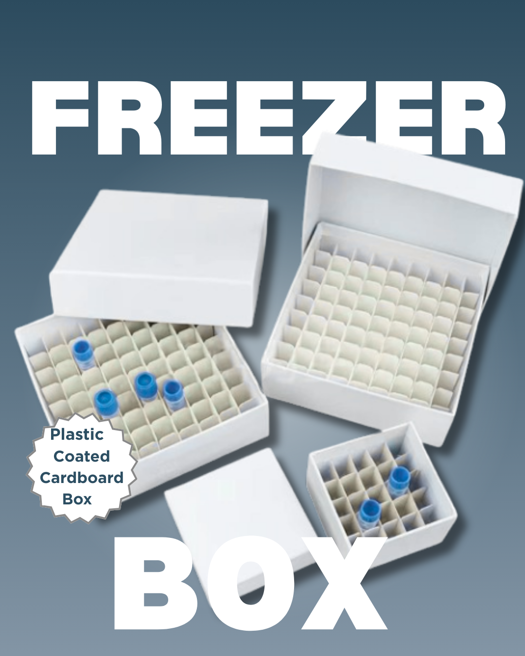 Freezer Box 2" Plastic Coated 